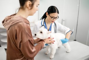 El punto de encuentro informativo para los profesionales del sector veterinario