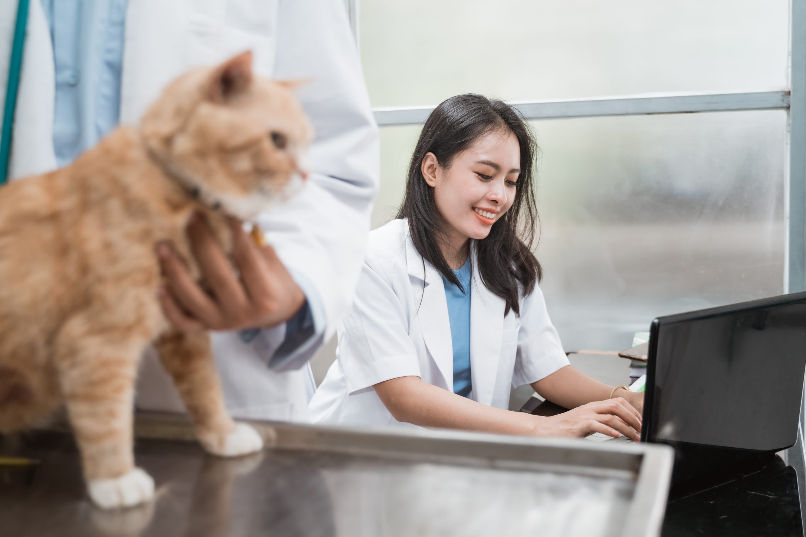 señales que indican que hay que actualizar la web de tu clínica veterinaria