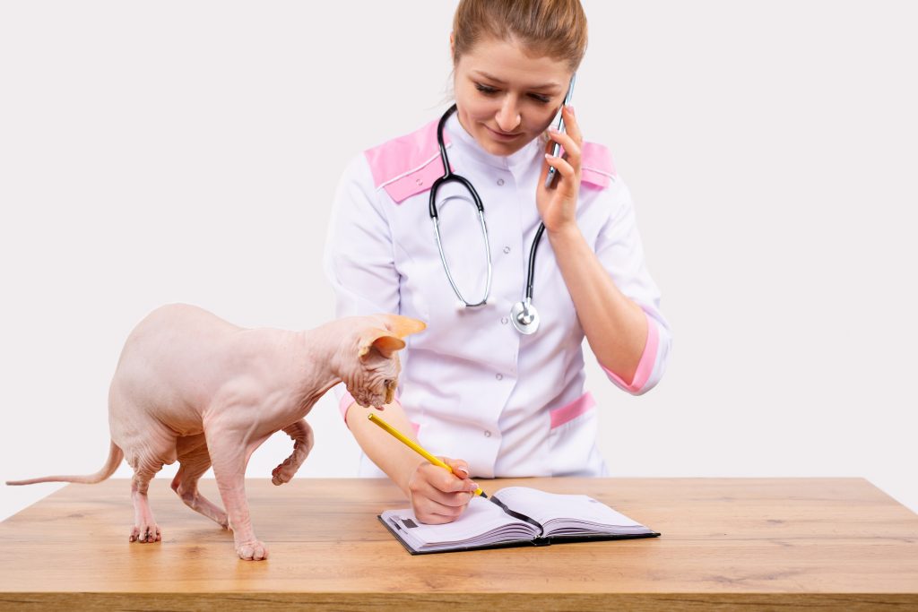 cómo dar un buen servicio postventa en tu clínica veterinaria