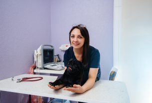 importancia de mostrar al equipo veterinario en la página web del centro