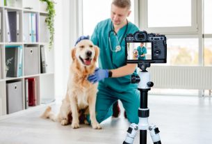 beneficios de las imágenes propias en la web veterinaria