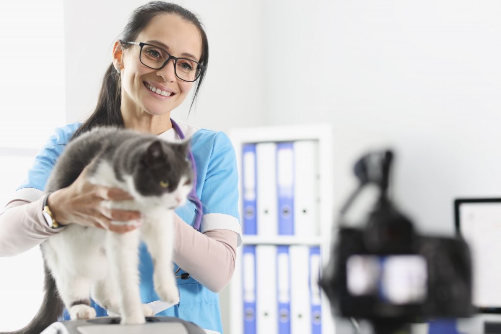 beneficios de usar imágenes propias en la web veterinaria