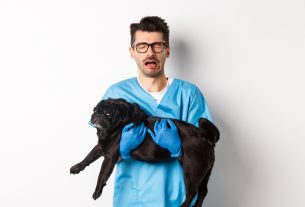 cómo afrontar un mal día en la clínica veterinaria