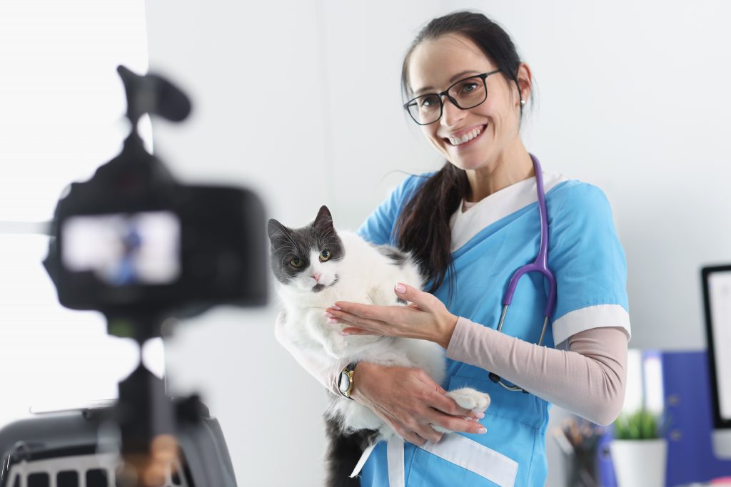 Importancia de los vídeos de Instagram en tu perfil veterinario