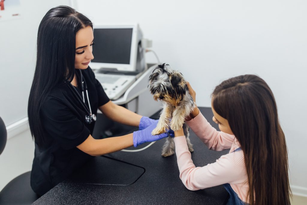 Qué es lo más duro de la profesión veterinaria
