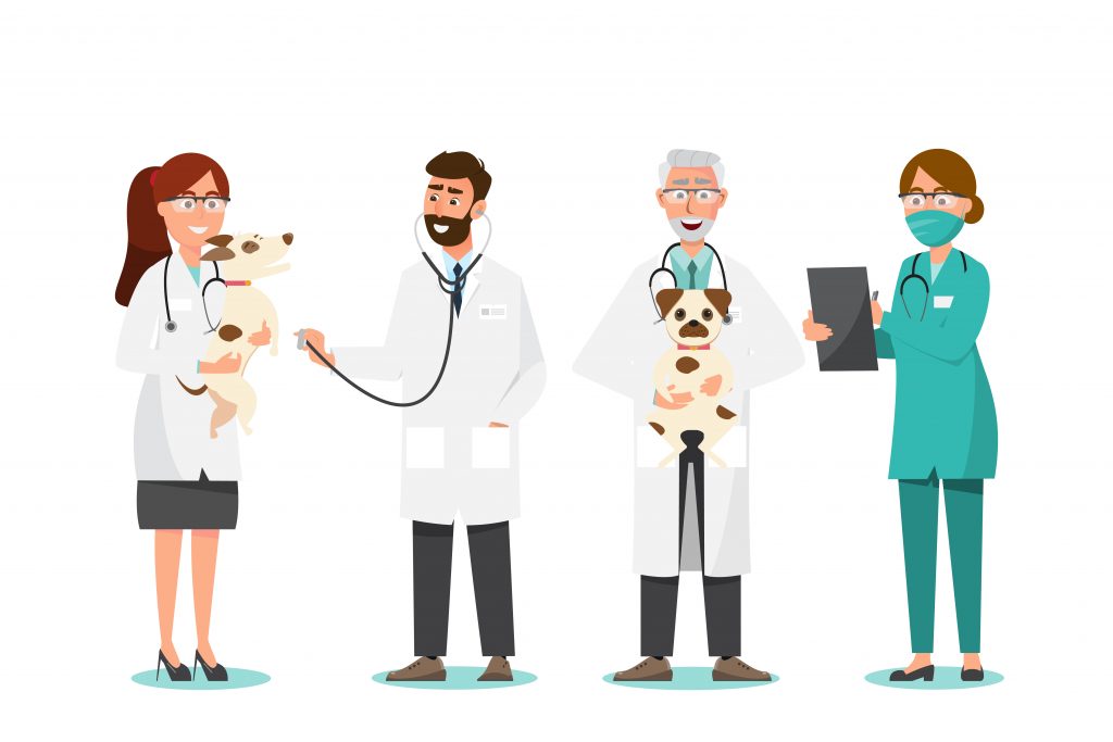Una identidad sólida de tu veterinaria facilitará encontrar nuevo personal