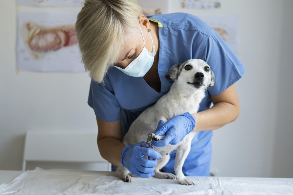 la comunicación en las redes sociales de tu veterinaria deber ser cuidada
