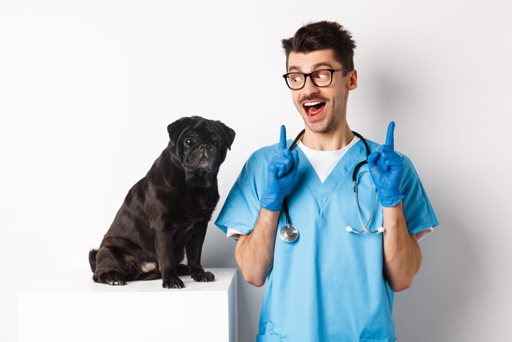 Posibles ofertas especiales en el negocio veterinario