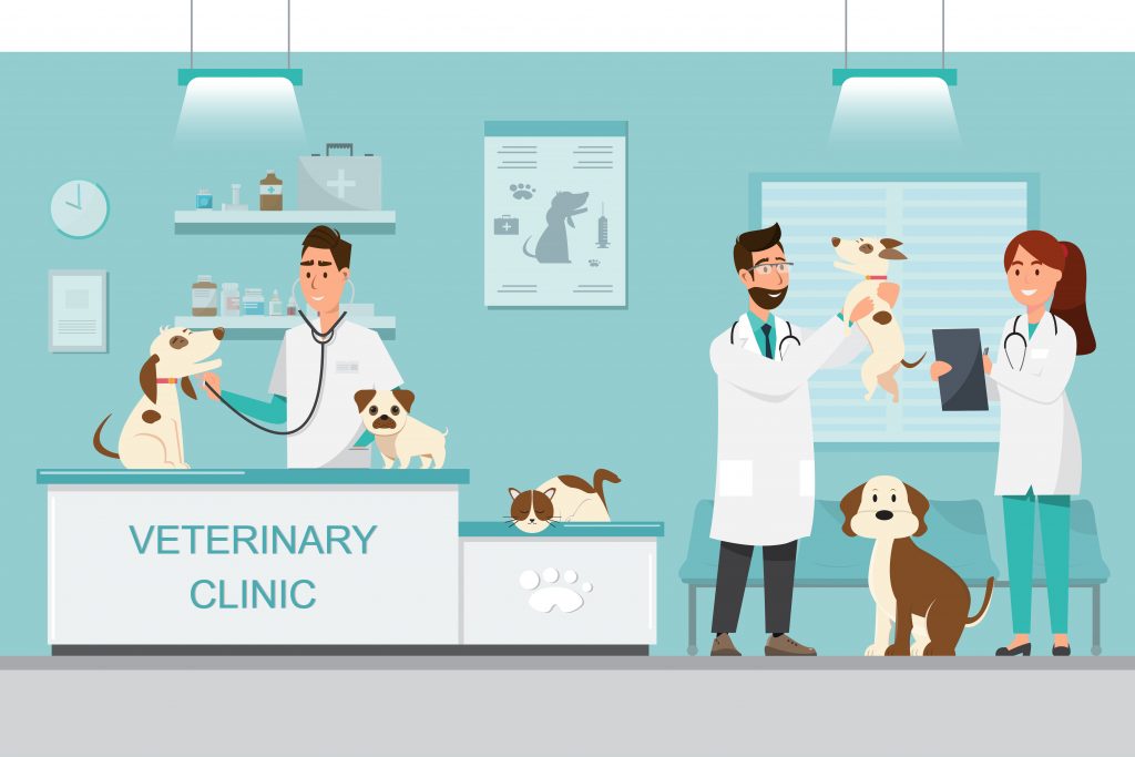 Cómo aumentar el engagement de tu Facebook veterinario