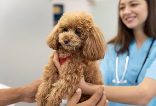 La amabilidad como base para hacer crecer tu centro veterinario