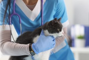 Noviembre confirma la recuperación del empleo veterinario