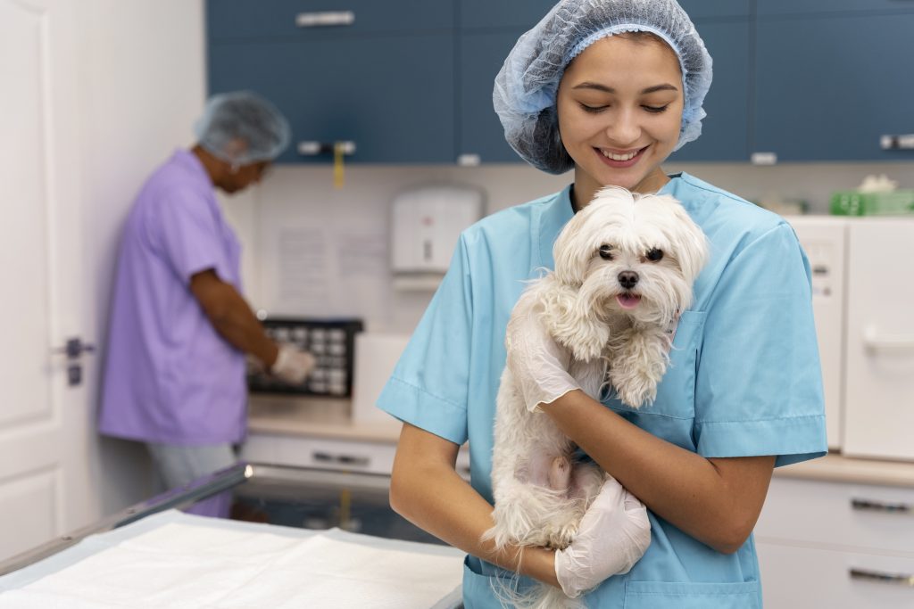 Beneficios de generar confianza con tu equipo veterinario
