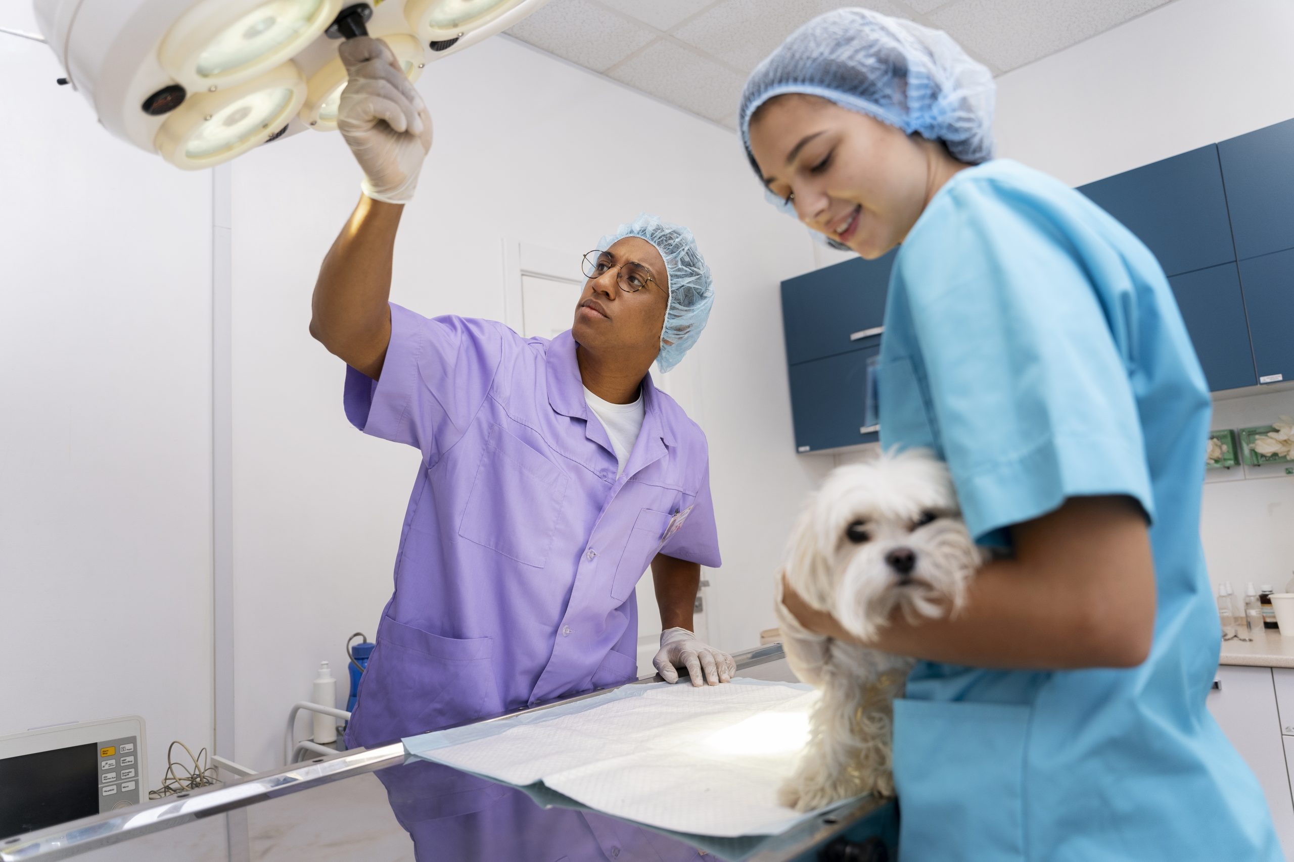 Cómo generar confianza con tu equipo veterinario
