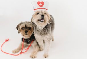 Motivos para mantener a tus clientes fieles a tu negocio veterinario