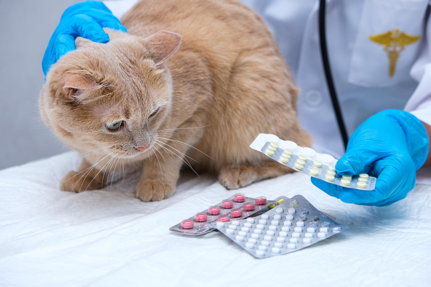 Nuevo reglamento europeo de medicamentos veterinarios