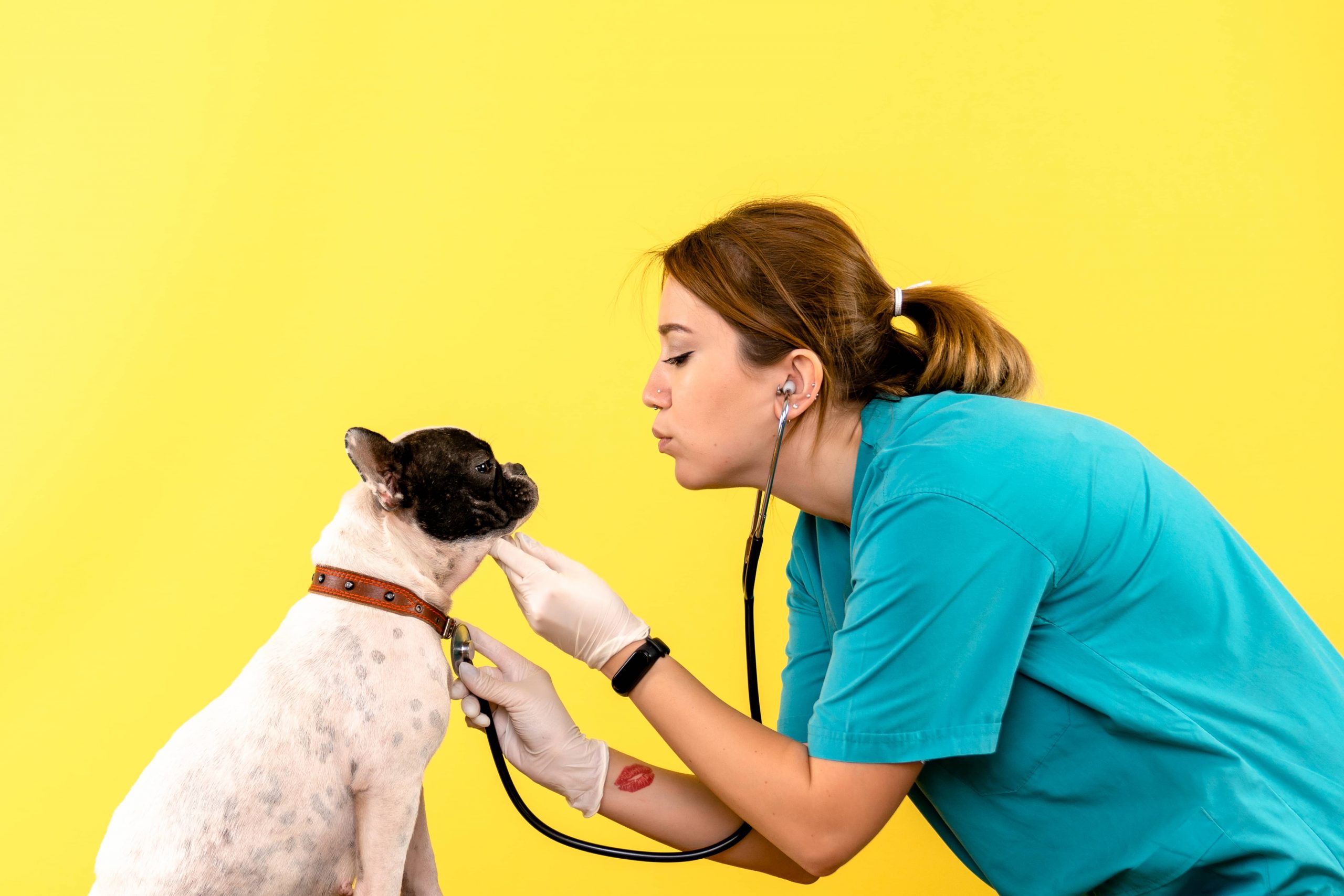 Cómo actuar con los brand lovers de tu veterinaria