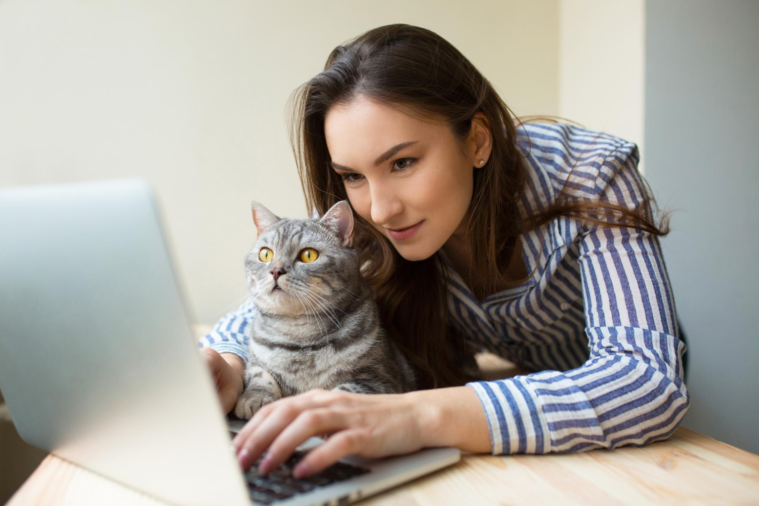 3 tips para mejorar tu marca veterinaria a través de tu web