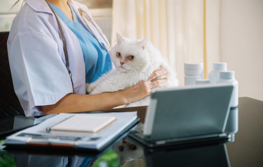 ¿Cuántos profesionales veterinarios tienen mascotas?