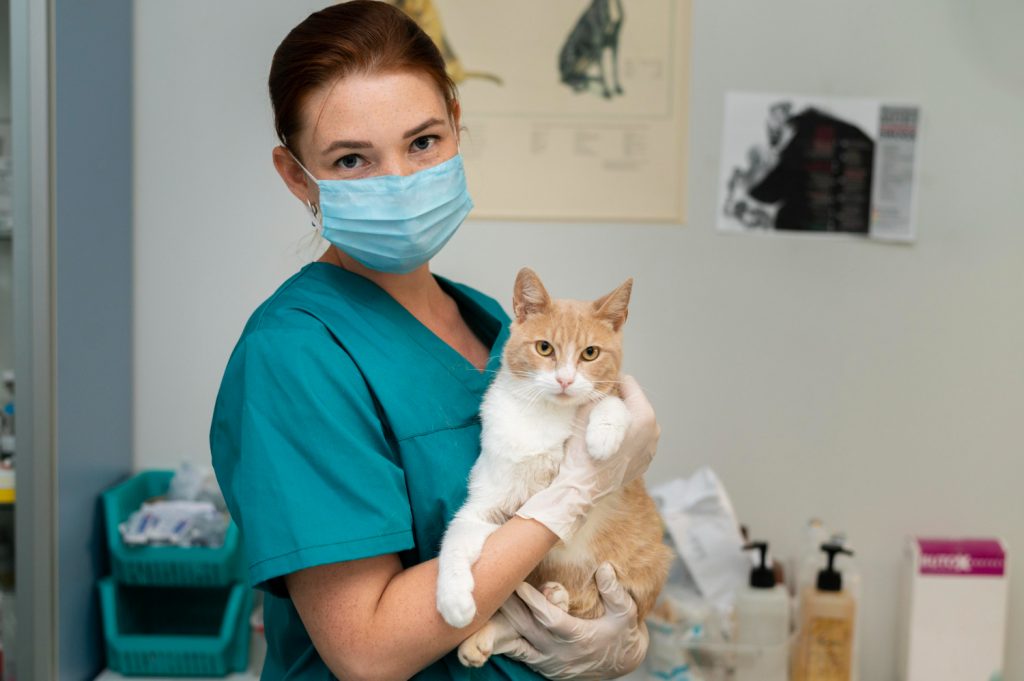 ¿Quiénes pueden padecer el síndrome del impostor en veterinaria?