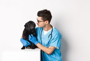 Cómo elegir el tono de las comunicaciones de tu veterinaria