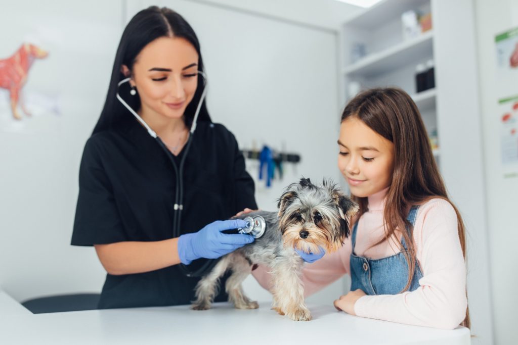 Felicidad en los profesionales veterinarios