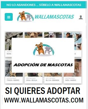 Plataforma de adopción de mascotas Wallamascotas