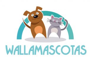Wallamascotas plataforma de adopción