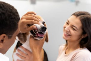 Importancia del feedback del cliente en medicina veterinaria