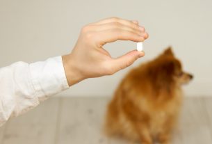 pautas para una prescripción correcta de medicamentos veterinarios