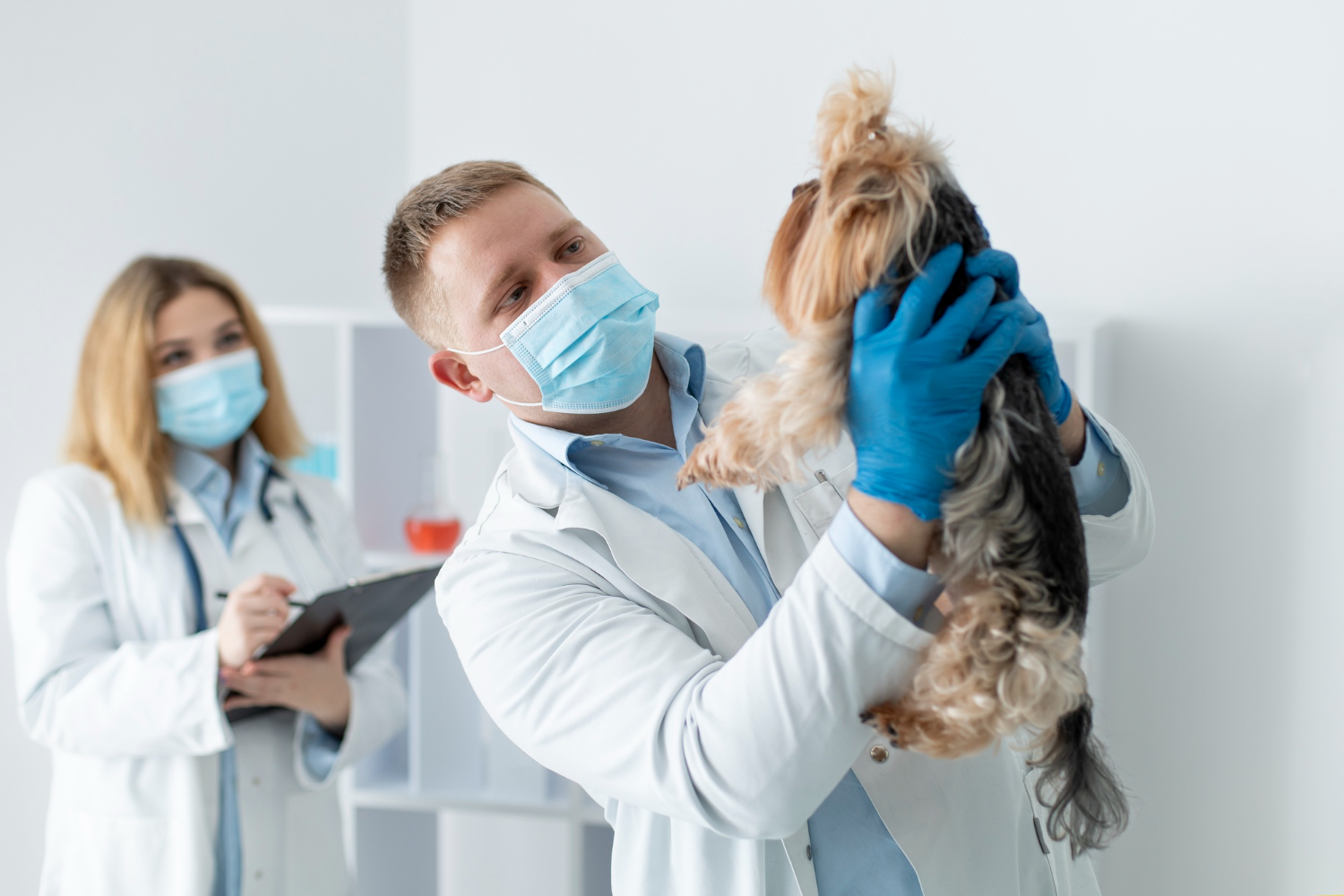 Estrategias para desconectar de la clínica veterinaria cuando acabas tu turno