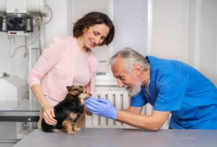 Cómo implementar un plan de mejora continua en tu negocio veterinario