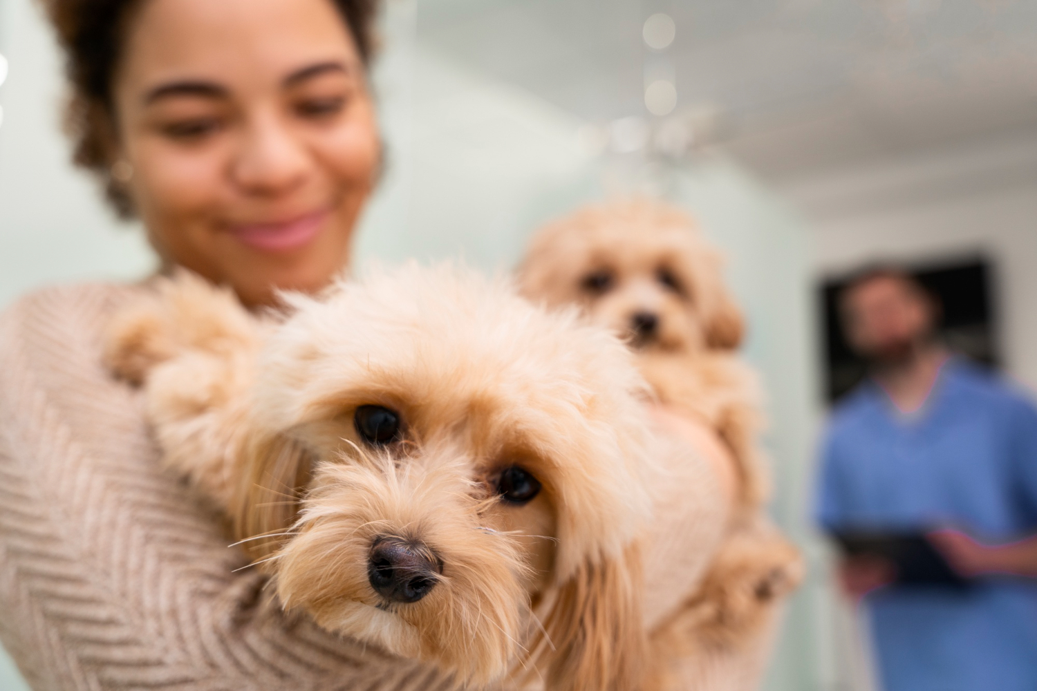 5 claves para minimizar, evitar y/o resolver conflictos con los clientes de tu veterinaria