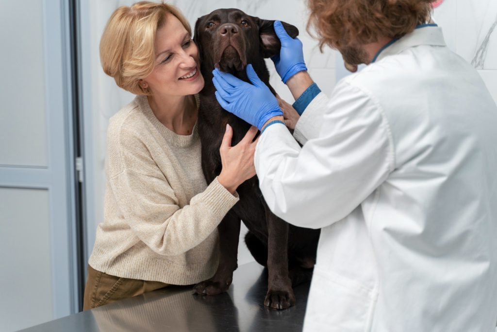 Tips para minimizar, evitar y/o resolver conflictos con los clientes de tu veterinaria