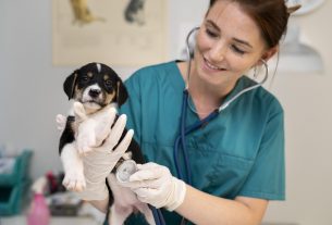 Cómo hacer una clínica veterinaria más dogfriendly