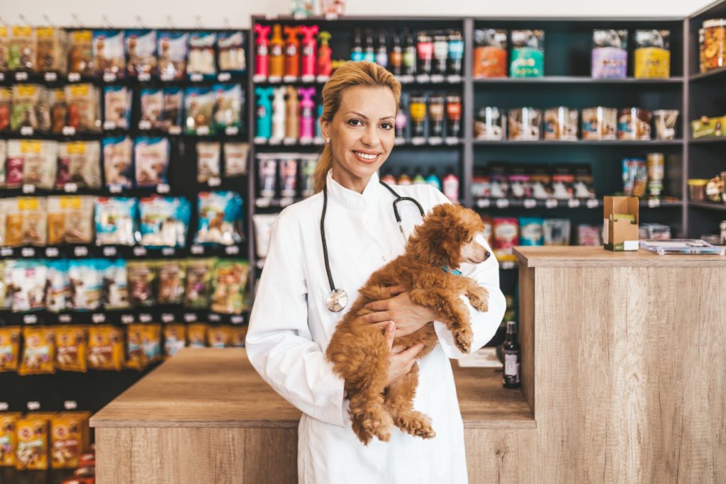 Beneficios del merchandising en la clínica veterinaria