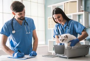 Análisis PESTEL en veterinaria: una mirada al entorno de la industria
