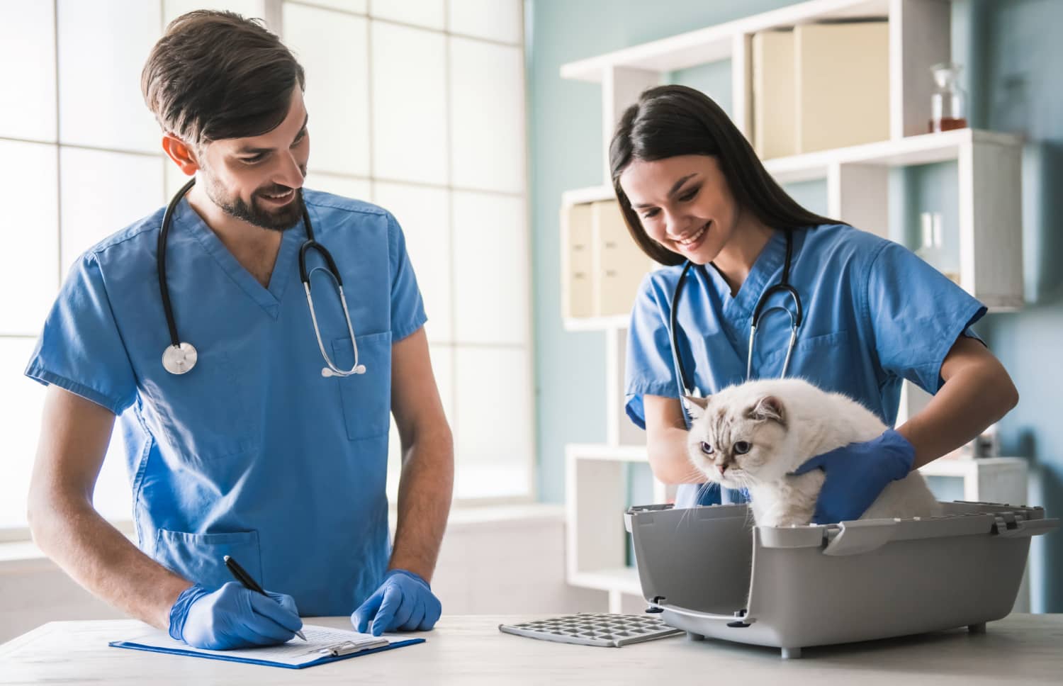 Análisis PESTEL en veterinaria: una mirada al entorno de la industria