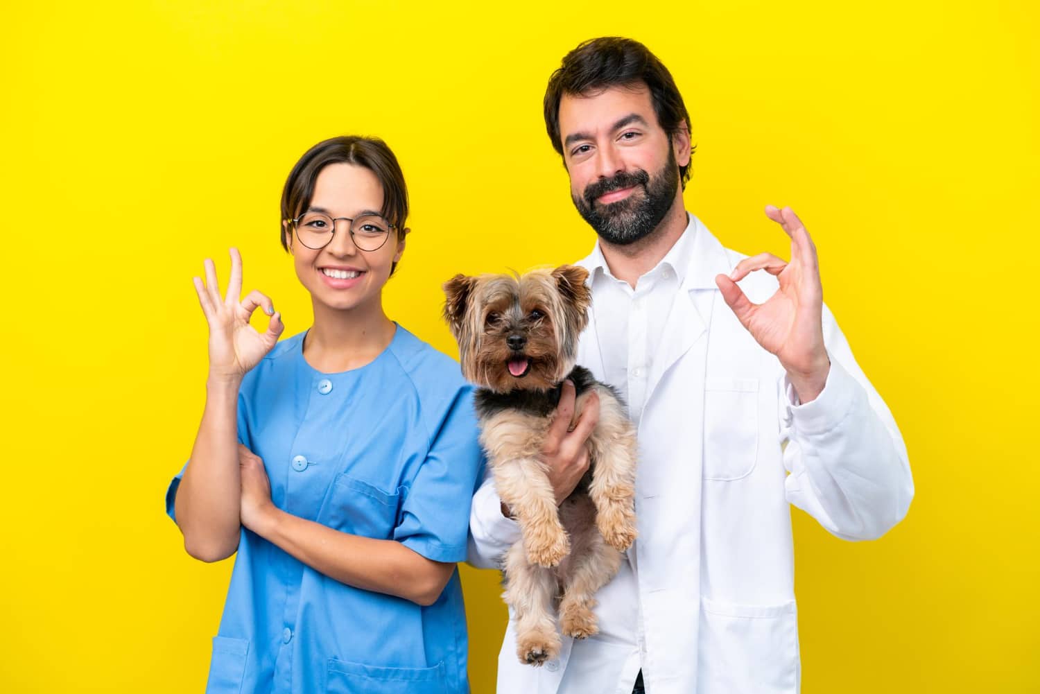 Cómo humanizar tu marca veterinaria