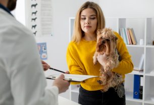 Cómo realizar una evaluación de satisfacción al cliente en veterinaria