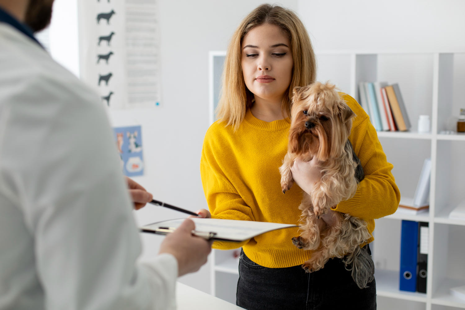 Cómo realizar una evaluación de satisfacción al cliente en veterinaria