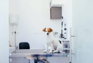 Gestión financiera en la práctica veterinaria: consejos para el éxito