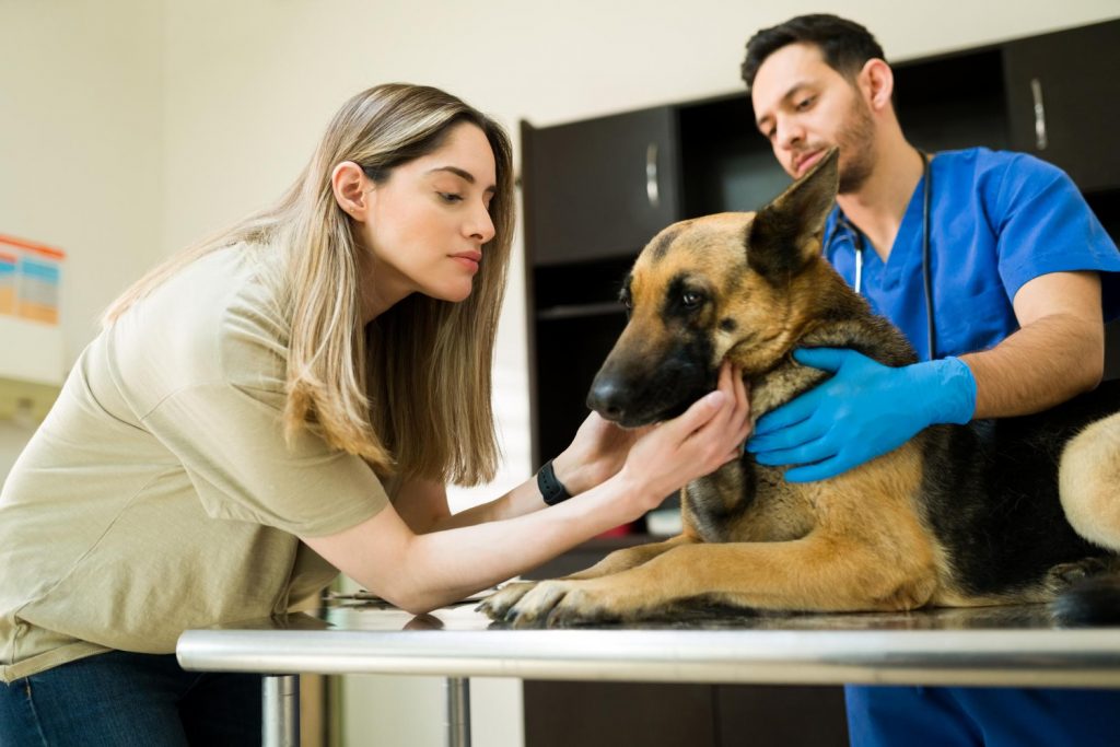 Métodos para realizar una evaluación de satisfacción al cliente en veterinaria