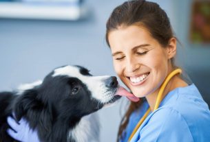 ¿Qué significa humanizar tu marca veterinaria?