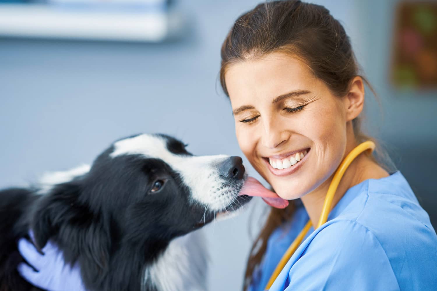 ¿Qué significa humanizar tu marca veterinaria?