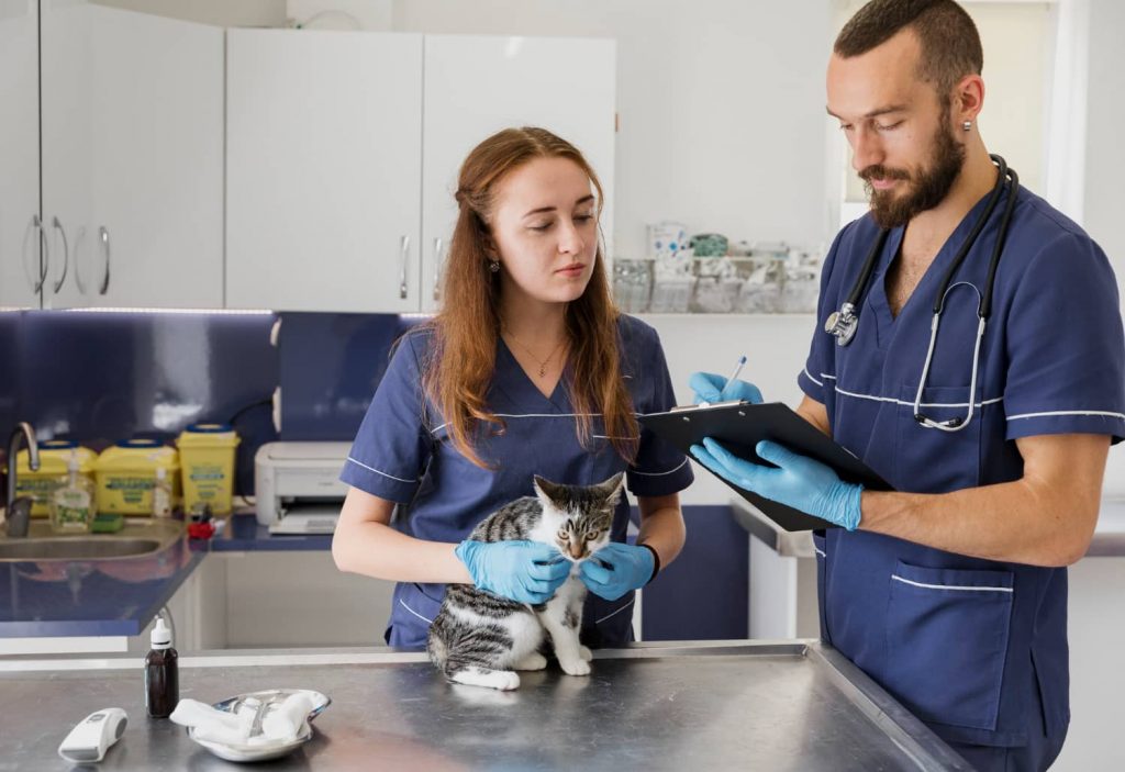 Beneficios de tener un protocolo de urgencias en veterinaria