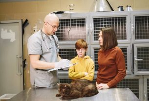 Cómo crear buyer personas en veterinaria