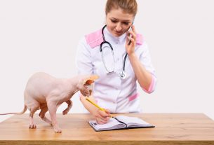 Cómo reducir el estrés al teléfono en las clínicas veterinarias