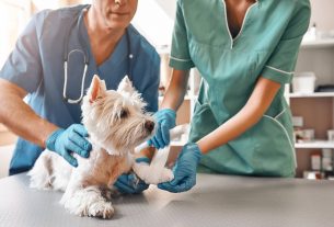 Consejos para aumentar las ventas en tu clínica veterinaria