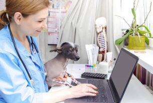 Implementación de un sistema de registro electrónico en tu clínica veterinaria