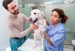 Las 5 motivaciones del cliente en veterinaria